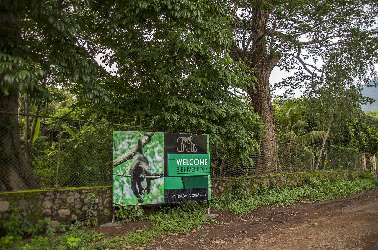 Hotel Congos Mérida エクステリア 写真