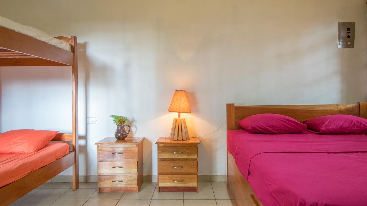 Hotel Congos Mérida エクステリア 写真