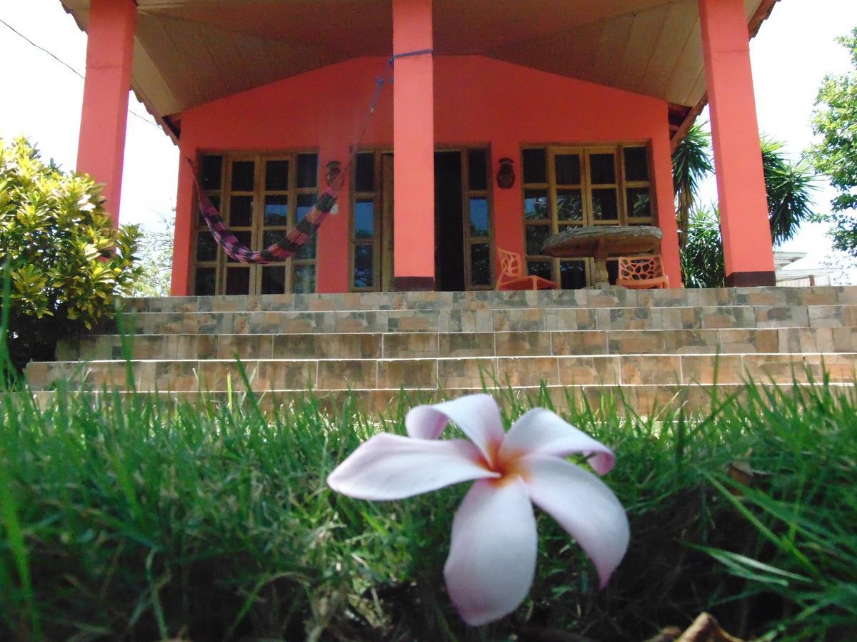 Hotel Congos Mérida エクステリア 写真